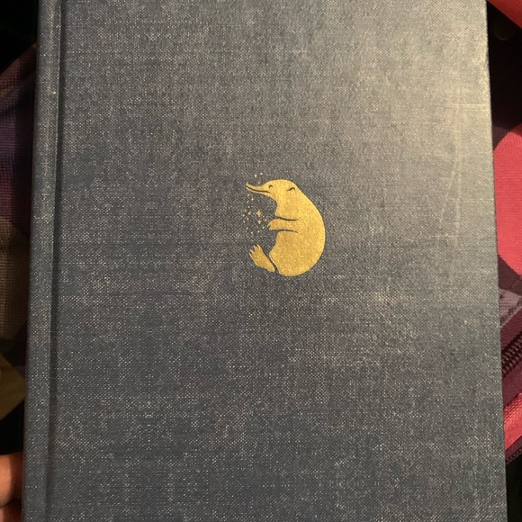Fantastic Beasts and Where to Find Them: The Original Screenplay - Picture 2 of 4